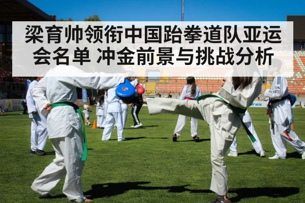 梁育帅领衔中国跆拳道队亚运会名单 冲金前景与挑战分析